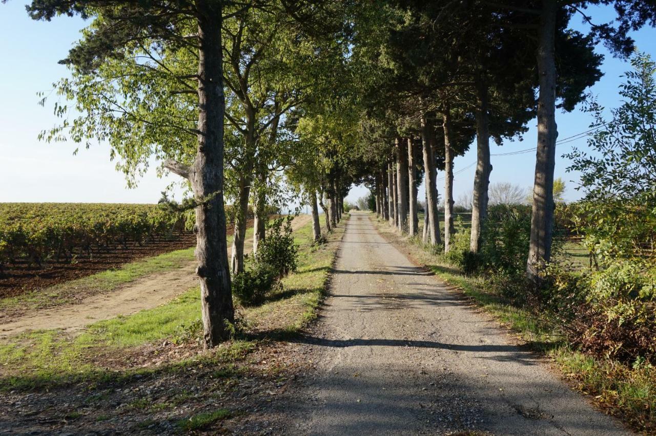 Le Clos Des Troubadours Pennautier Exterior photo